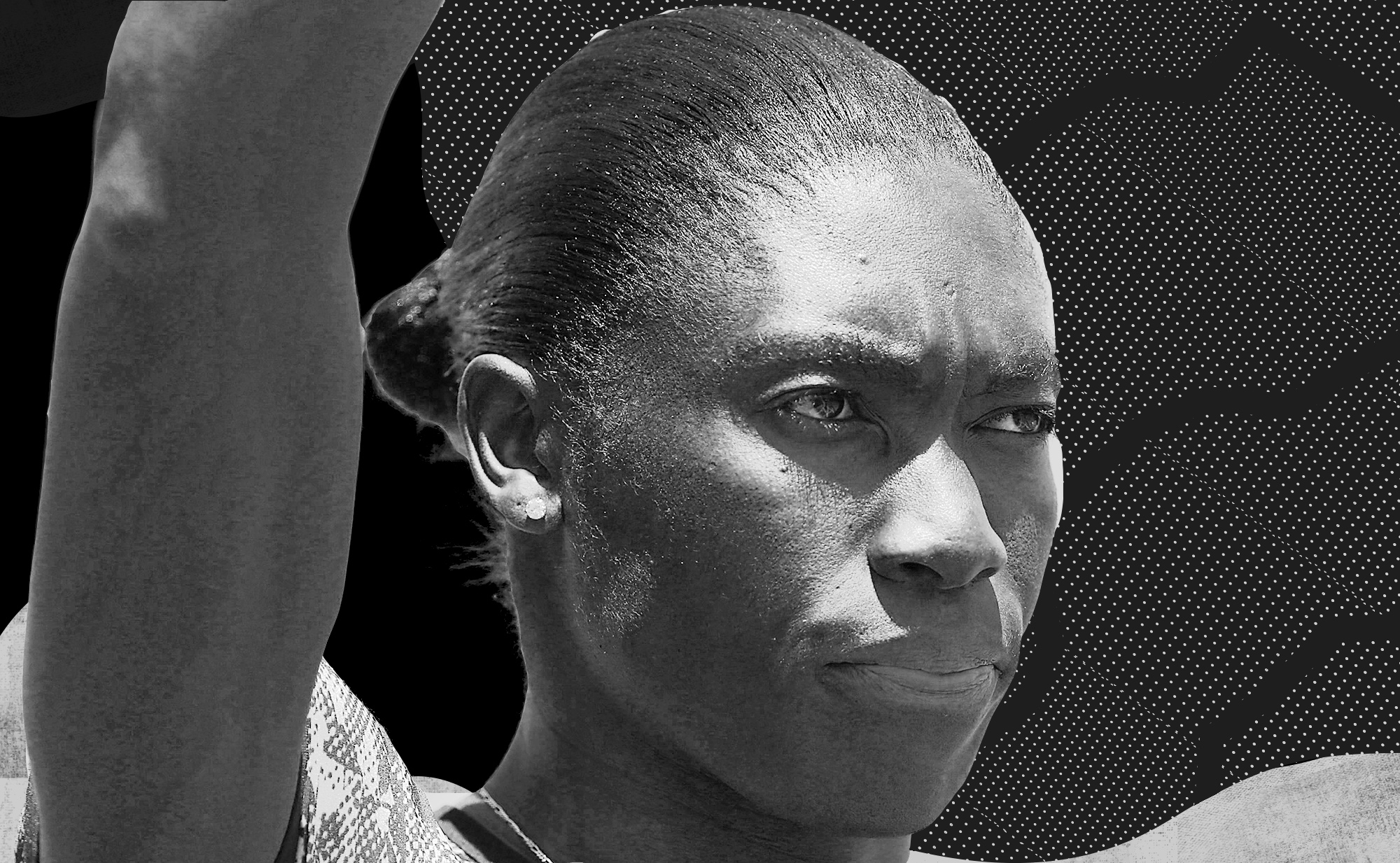 他们的组合 他们的组合