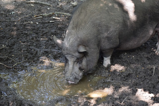 比之间共同 比之间共同