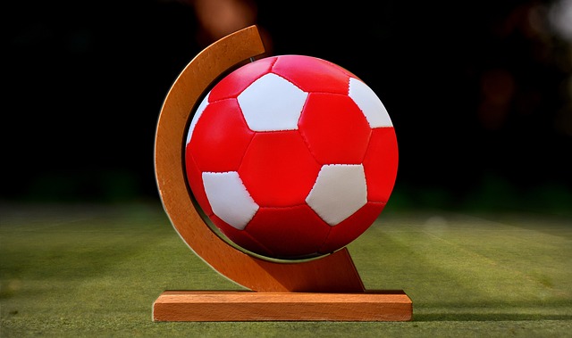 泰山队的防 泰山队的防