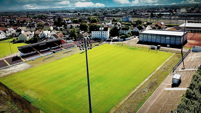 盖帽与篮板 盖帽与篮板