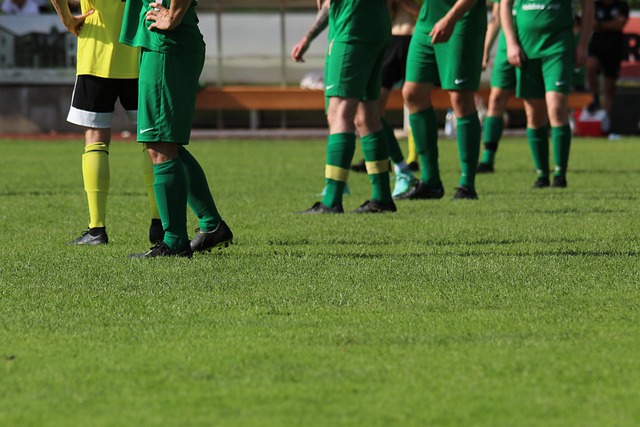 借助国家队 借助国家队