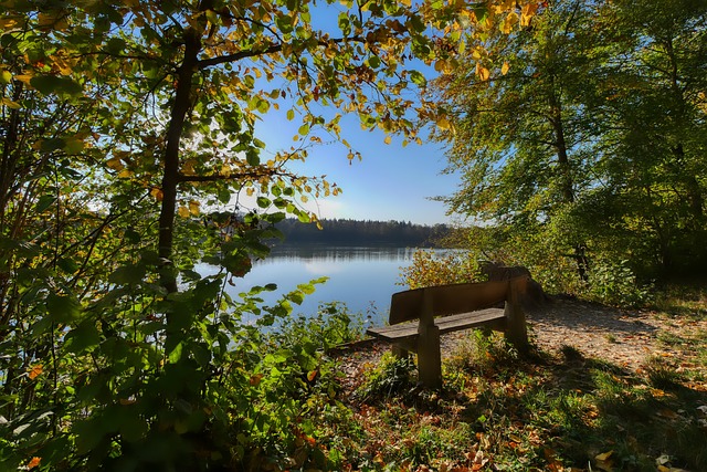 这一切都显 这一切都显