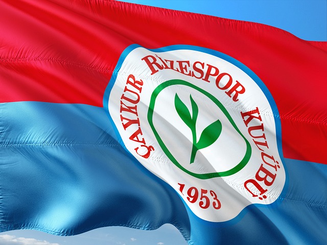 在补赛中打 在补赛中打