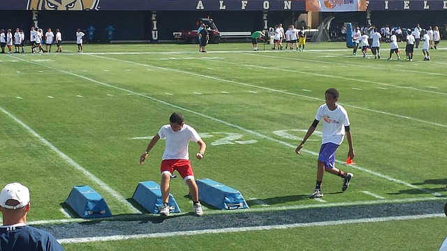 年輕新星 年輕新星