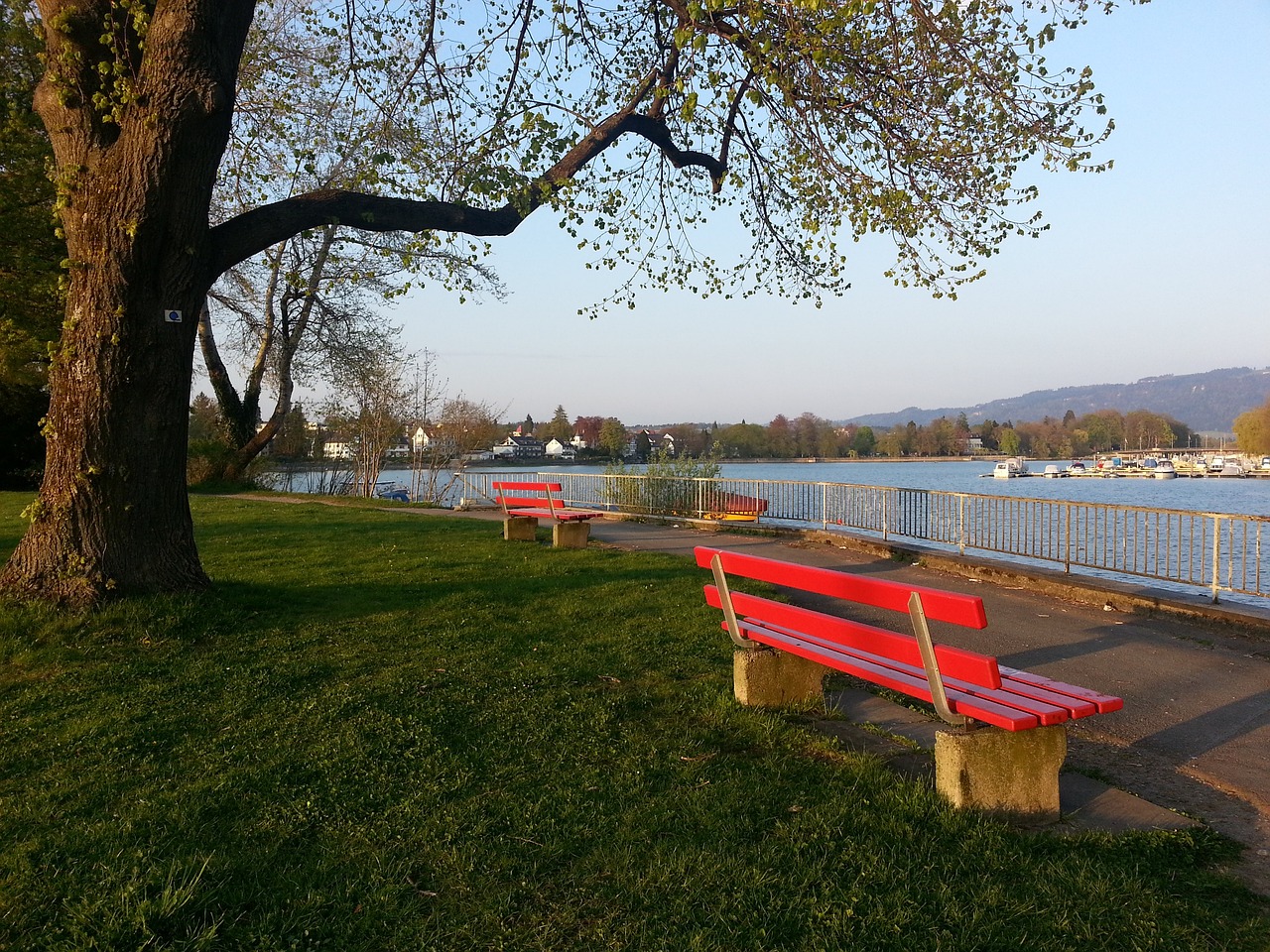 尼修斯的精 尼修斯的精