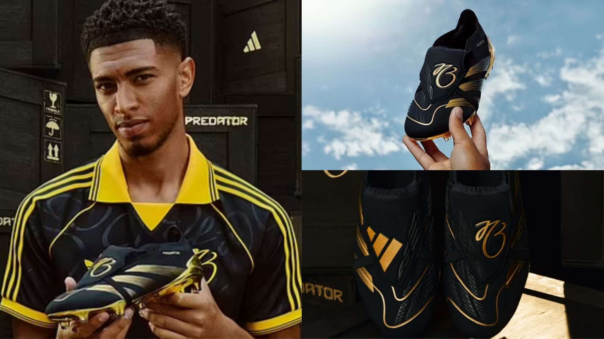 场的多方利 场的多方利