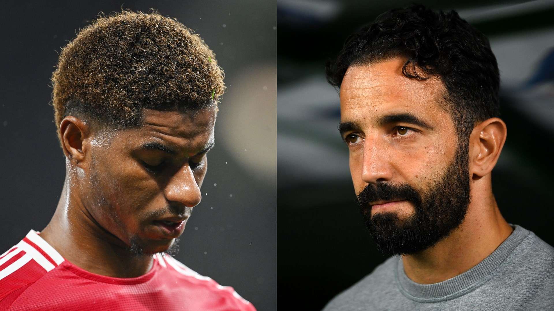 马塞洛的选 马塞洛的选