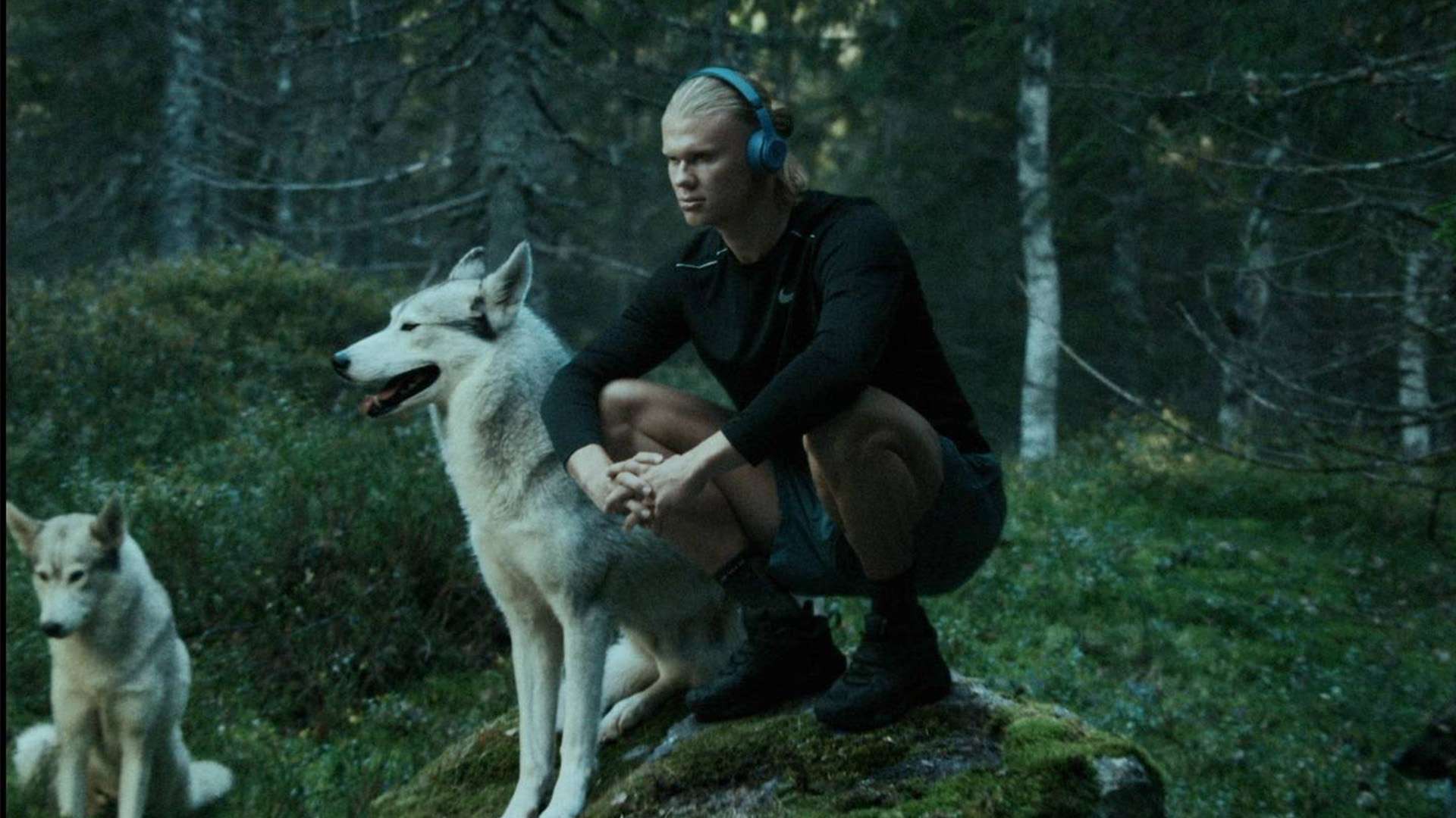 因實力差距 因實力差距